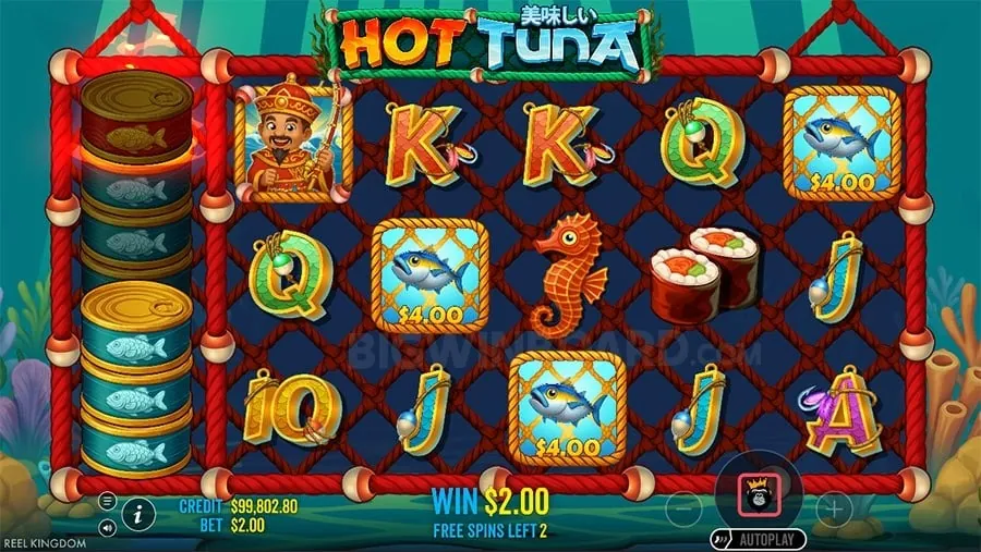 Interactive Live Casino Playtime